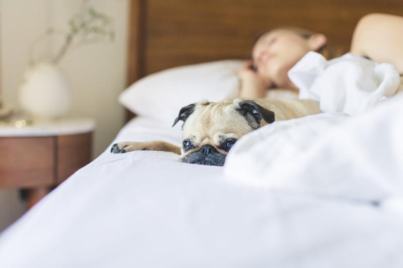Sonesta Simply Suites סאמרסט מראה חיצוני תמונה